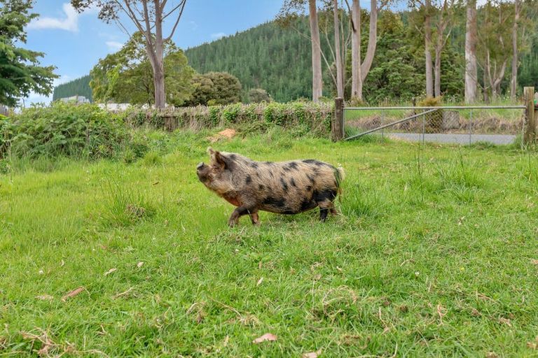 Photo of property in 37 Takitu Road, Pakotai, Whangarei, 0172
