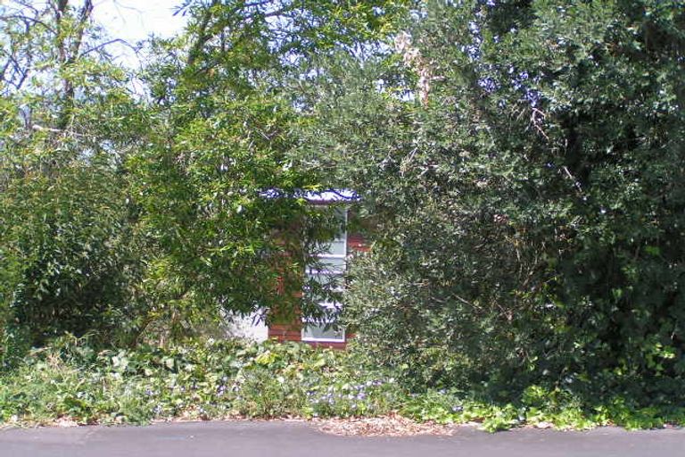 Photo of property in 77b Princes Street, Northcote Point, Auckland, 0627