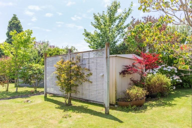 Photo of property in 13 Saint Annes Street, Levin, 5510