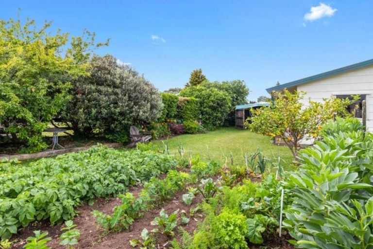 Photo of property in 10 Stafford Street, Waihi, 3610