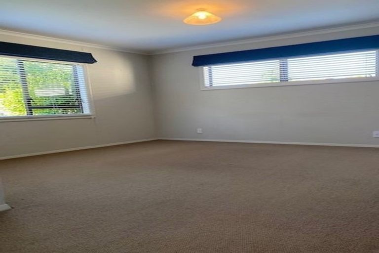 Photo of property in 703 Williams Street, Mahora, Hastings, 4120