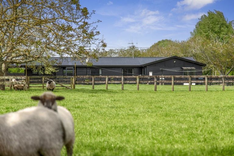 Photo of property in 43 Forrest Road, Cambridge, 3493