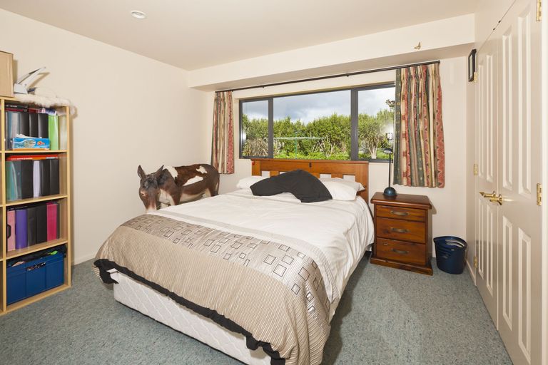 Photo of property in 16 Cairn Way, Te Kamo, Kamo, 0185