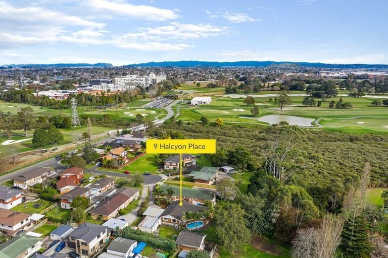 Photo of property in 9 Halcyon Place, Papatoetoe, Auckland, 2025