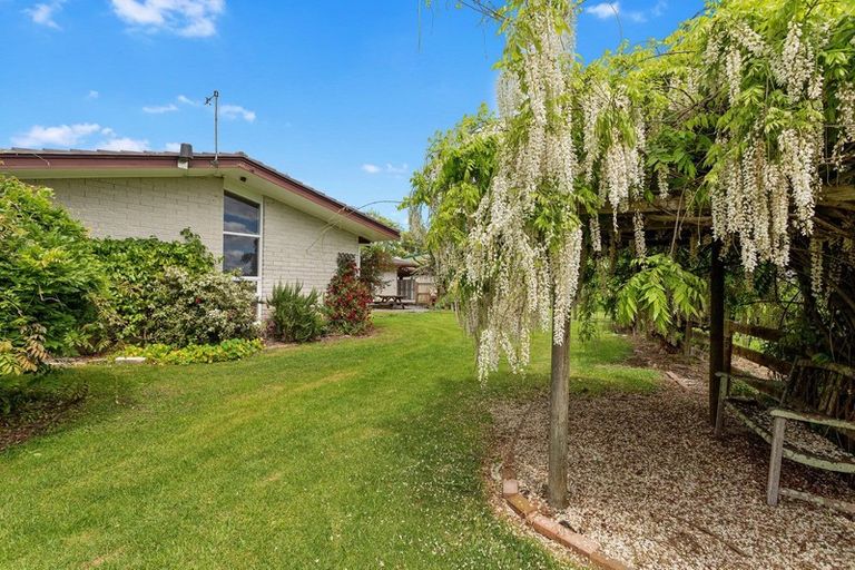 Photo of property in 366 Thornton Road, Thornton, Whakatane, 3194