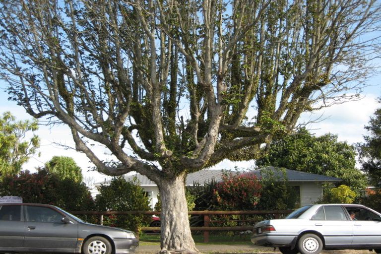 Photo of property in 34 Queen Street, Wairoa, 4108