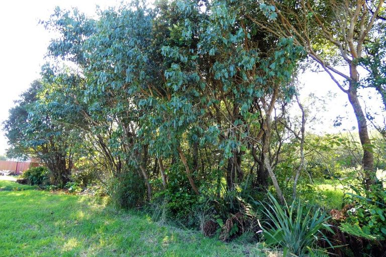 Photo of property in 43-44 Dole Street, Ngakawau, 7824