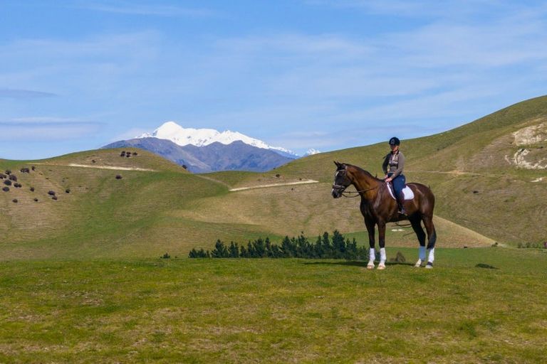 Photo of property in 59 Marama Road, Seddon, 7285