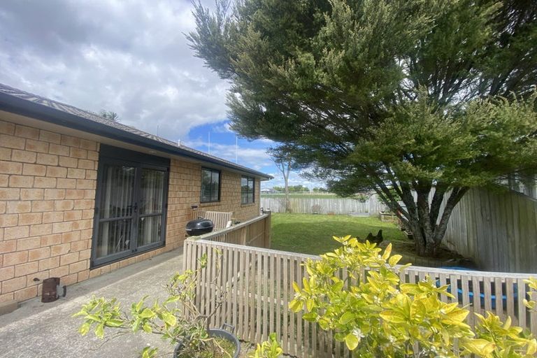 Photo of property in 17 Finchley Place, Hamilton East, Hamilton, 3216