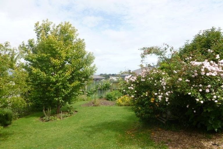 Photo of property in 153 Edgecumbe Road, Tauranga South, Tauranga, 3112