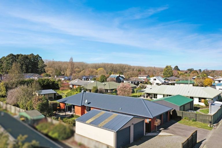 Photo of property in 10 Maple Lane, Tinwald, Ashburton, 7700