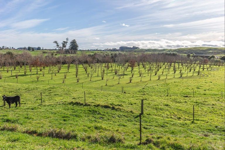 Photo of property in 947 Koputaroa Road, Koputaroa, Levin, 5575