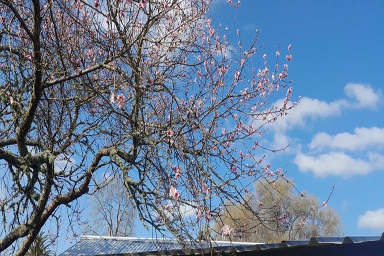 Photo of property in 115 Pine Drive, Murupara, 3025