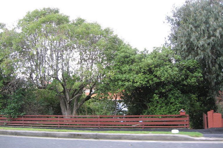 Photo of property in 91 Norfolk Street, Saint Clair, Dunedin, 9012