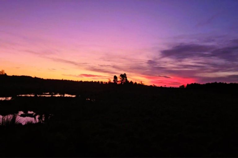 Photo of property in 84 Newcastle Street, Clyde, 9330