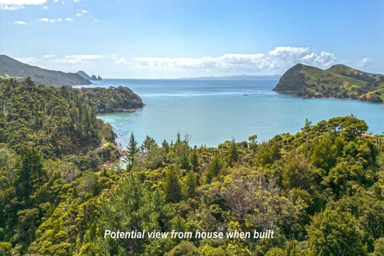 Photo of property in 1451 Port Charles Road, Port Charles, Coromandel, 3584
