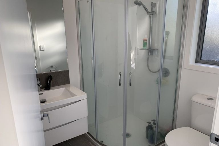 Photo of property in 35e Ross Crescent, Fairfield, Hamilton, 3214