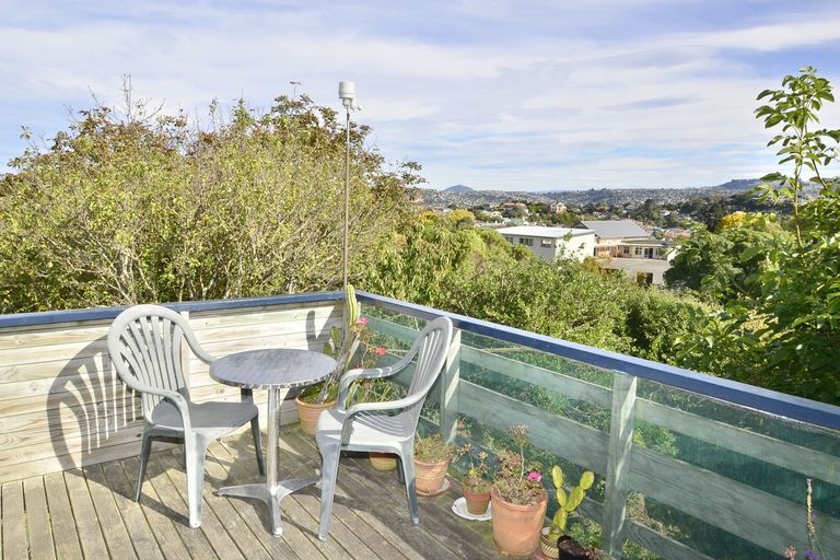 Photo of property in 20 Spottiswoode Street, Andersons Bay, Dunedin, 9013