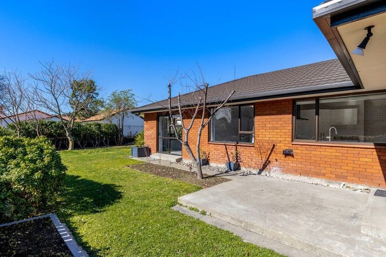 Photo of property in 223 Redwood Street, Witherlea, Blenheim, 7201