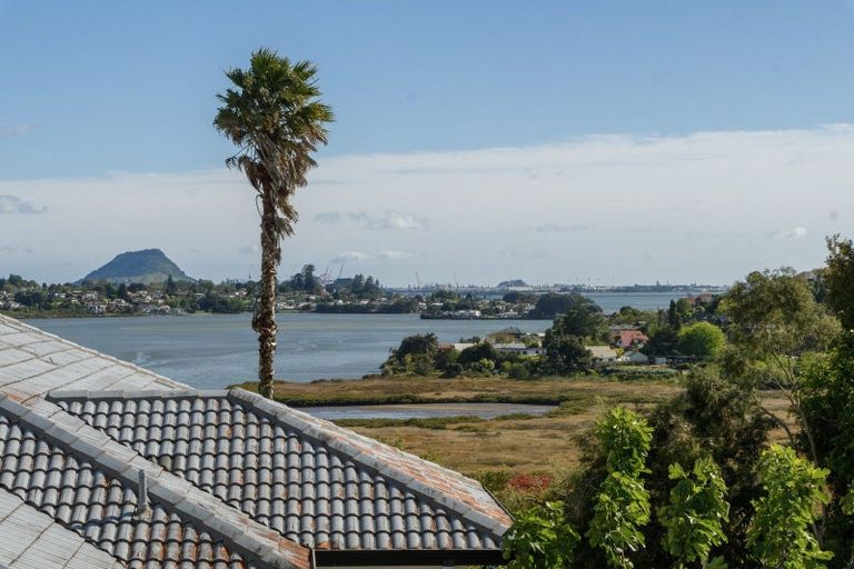 Photo of property in 44 Diamond Head, Hairini, Tauranga, 3112