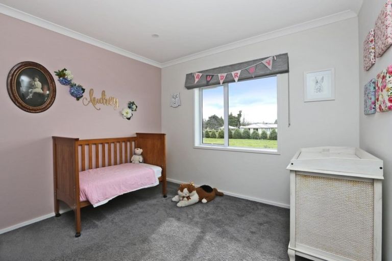 Photo of property in 19 Bellerby Lane, Maraekakaho, Hastings, 4171
