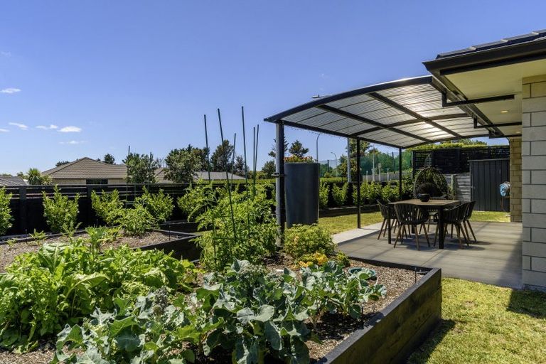 Photo of property in 3 Beggs Lane, Pyes Pa, Tauranga, 3112