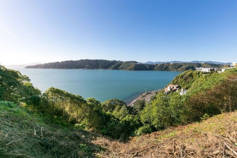 Photo of property in 21 Kio Road, Hataitai, Wellington, 6021