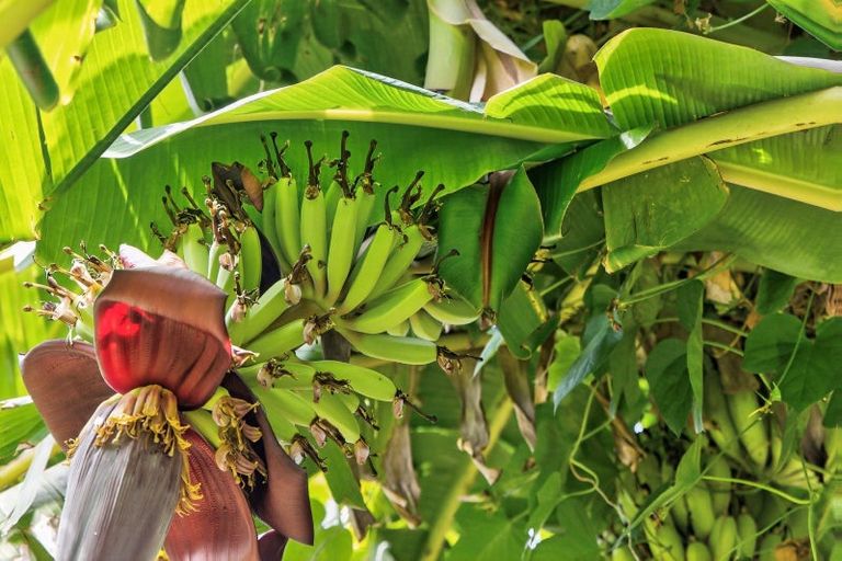 Photo of property in 41 Vale Road, Riverside, Whangarei, 0112