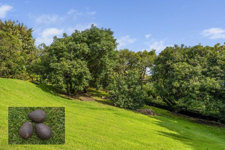 Photo of property in 10 Zapote Place, Ohauiti, Tauranga, 3112