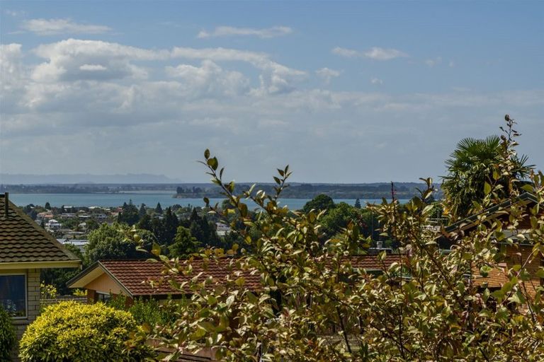 Photo of property in 18 Brookfield Terrace, Brookfield, Tauranga, 3110