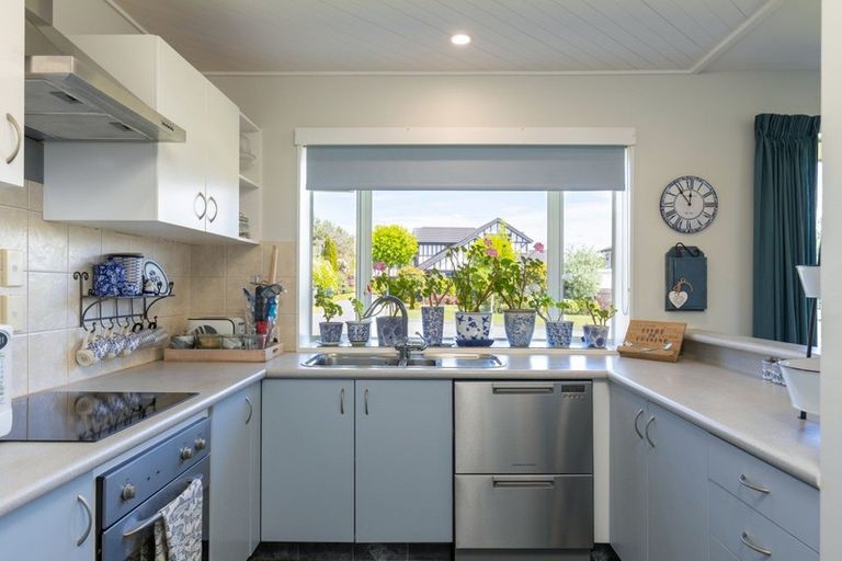 Photo of property in 17 Elisha Drive, Witherlea, Blenheim, 7201