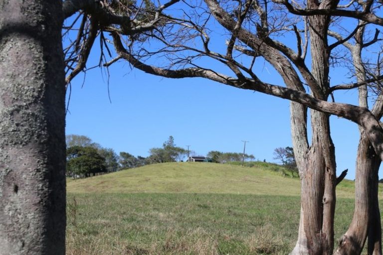 Photo of property in 182 Morrison Road, Arapohue, Dargaville, 0374