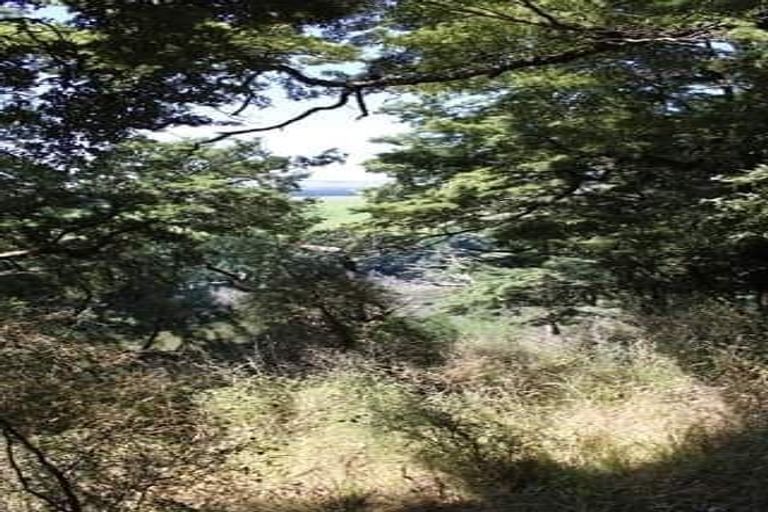 Photo of property in 320 Lillburn-monowai Road, Dean, Tuatapere, 9691