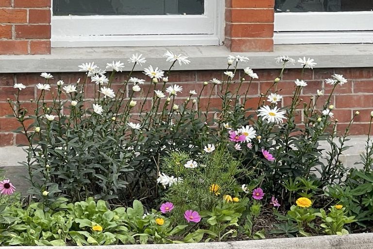 Photo of property in 69 Balaclava Street, Wyndham, 9831