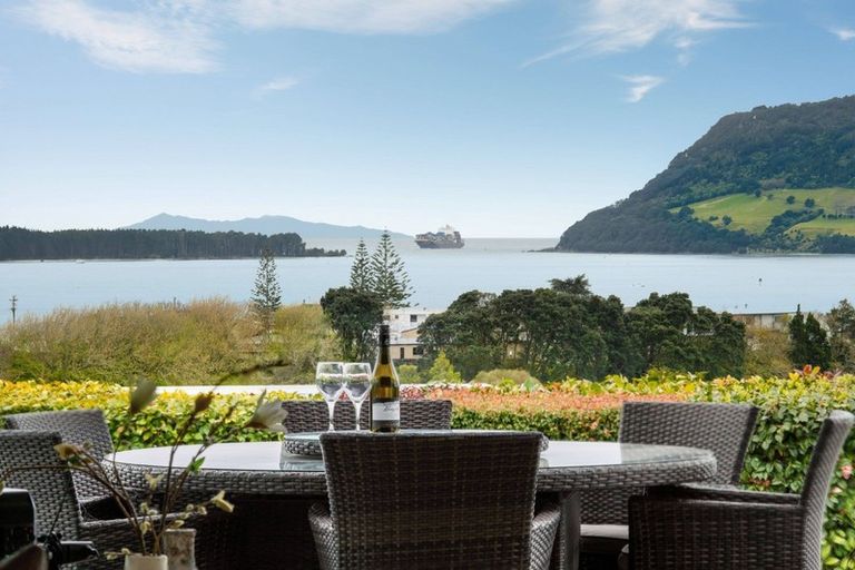 Photo of property in 1/20 Pillans Road, Otumoetai, Tauranga, 3110