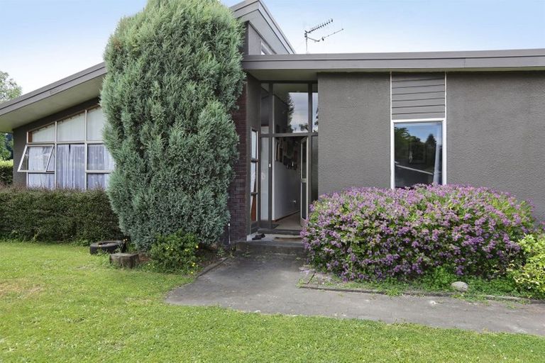 Photo of property in 41 James Cook Street, Havelock North, 4130