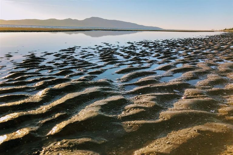 Photo of property in 34 Alexander Road, Raumati Beach, Paraparaumu, 5032