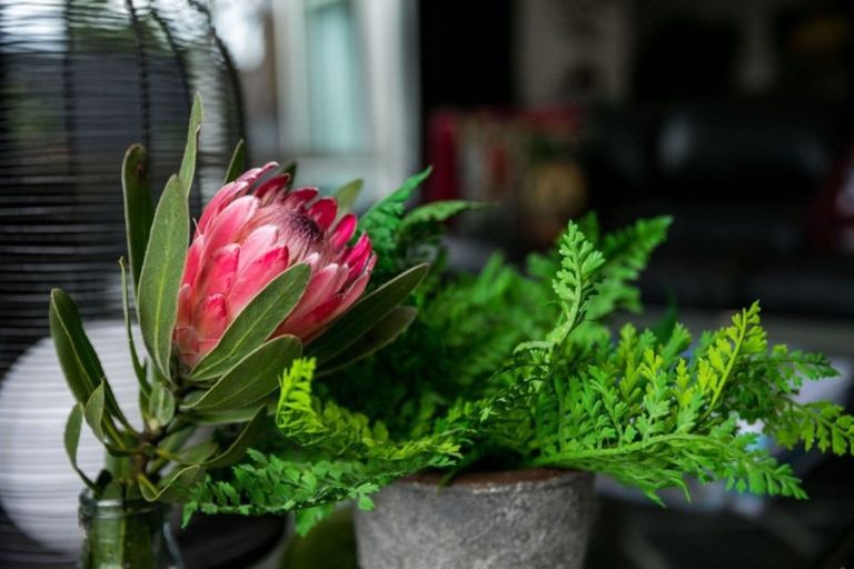 Photo of property in 35 Waione Avenue, Athenree, Waihi Beach, 3177