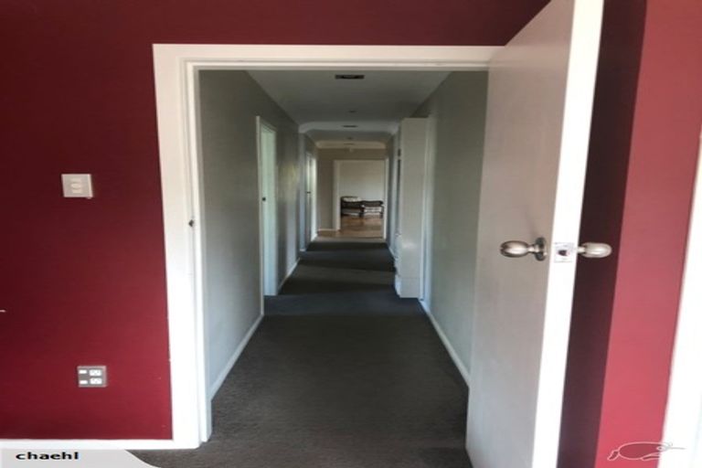 Photo of property in 33 Edinburgh Road, Hillcrest, Hamilton, 3216