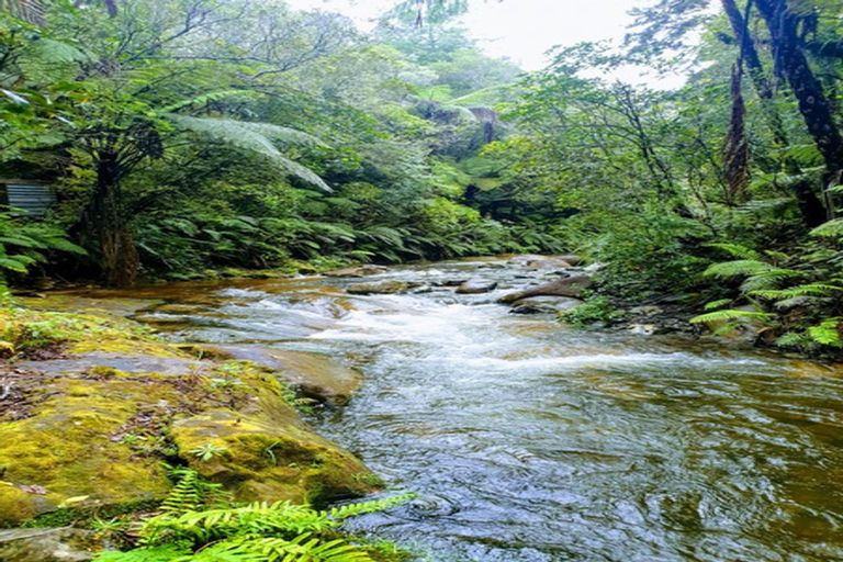 Photo of property in 202 Upland Road, Aongatete, Katikati, 3181