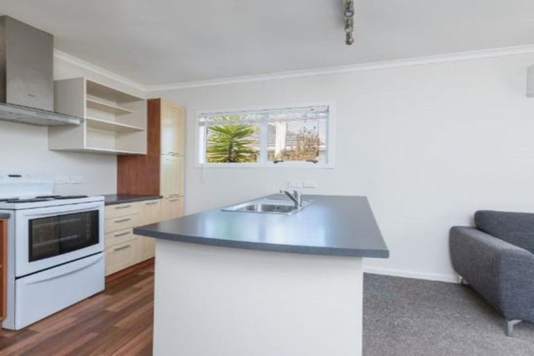 Photo of property in 19 Elizabeth Street, Richmond, 7020