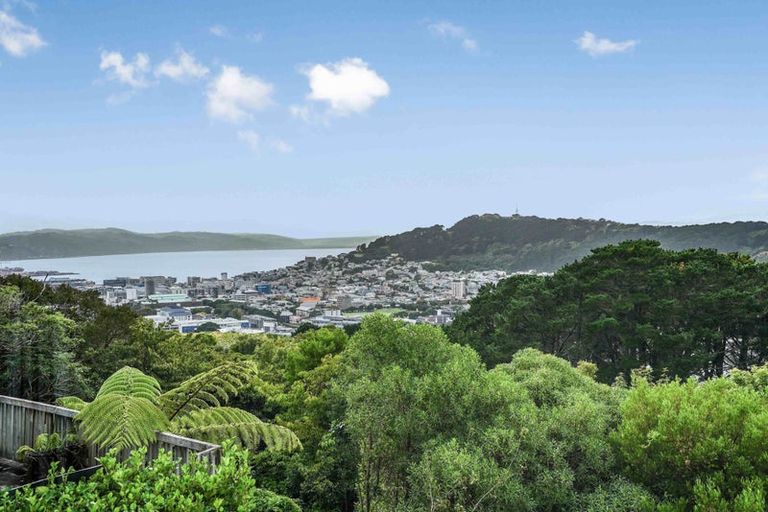 Photo of property in 7 Asquith Terrace, Brooklyn, Wellington, 6021