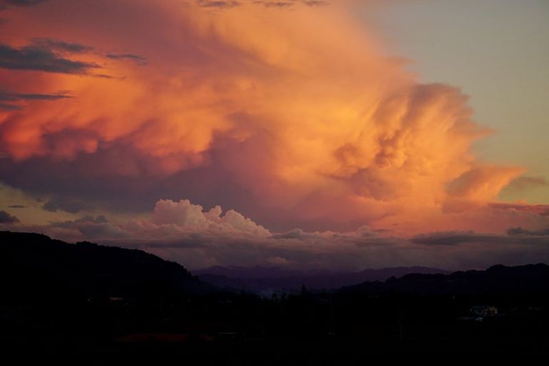 Photo of property in 19 Island View Heights, Coastlands, Whakatane, 3120