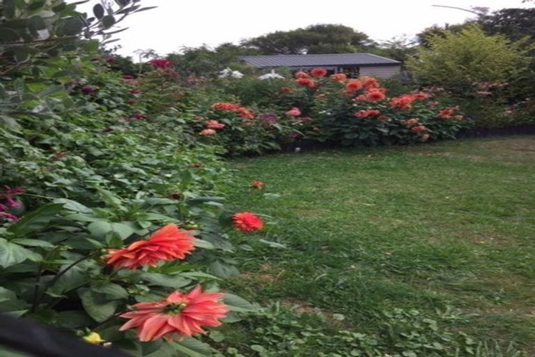 Photo of property in 77a Alexander Road, Raumati Beach, Paraparaumu, 5032
