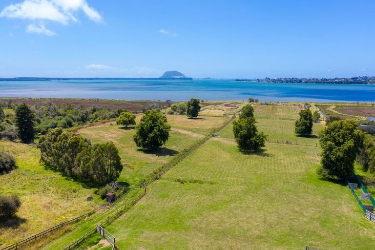 Photo of property in 38a Oikimoke Road, Te Puna, Tauranga, 3176