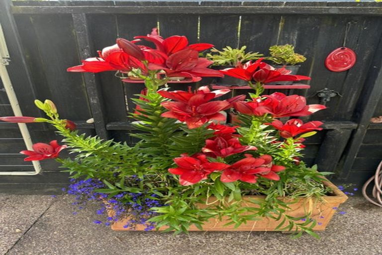 Photo of property in 2/46 Sunset Road, Unsworth Heights, Auckland, 0632