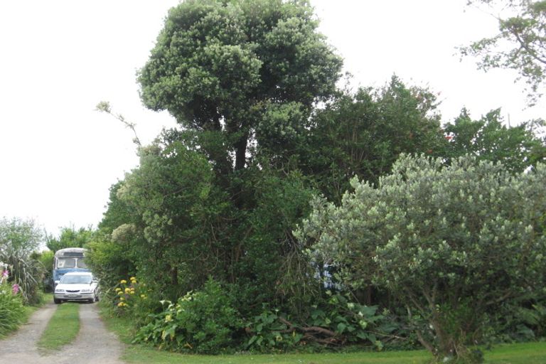 Photo of property in 19 Grey Street, Opotiki, 3122