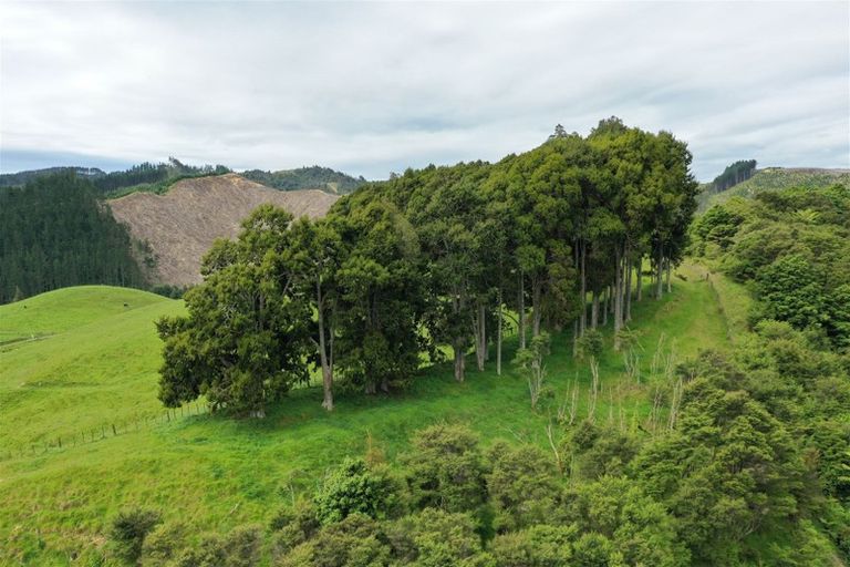 Photo of property in 40 Cogswell Road, Raglan, 3295