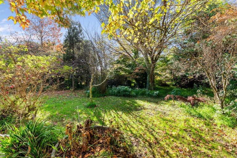 Photo of property in 43 Wakeman Street, Pahiatua, 4910