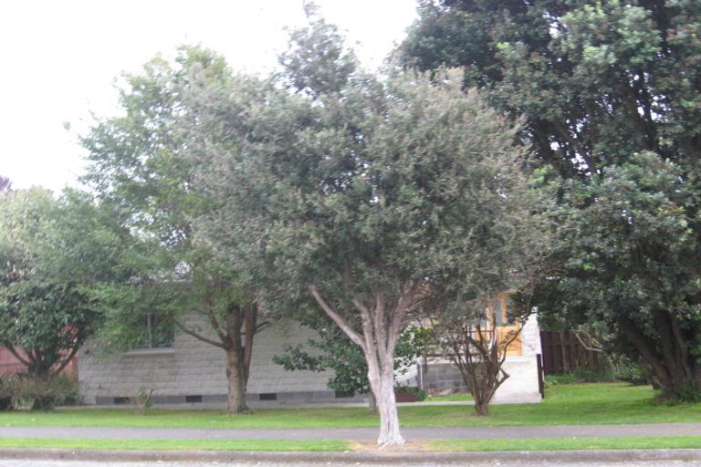 Photo of property in 165 Tiro Tiro Road, Levin, 5510